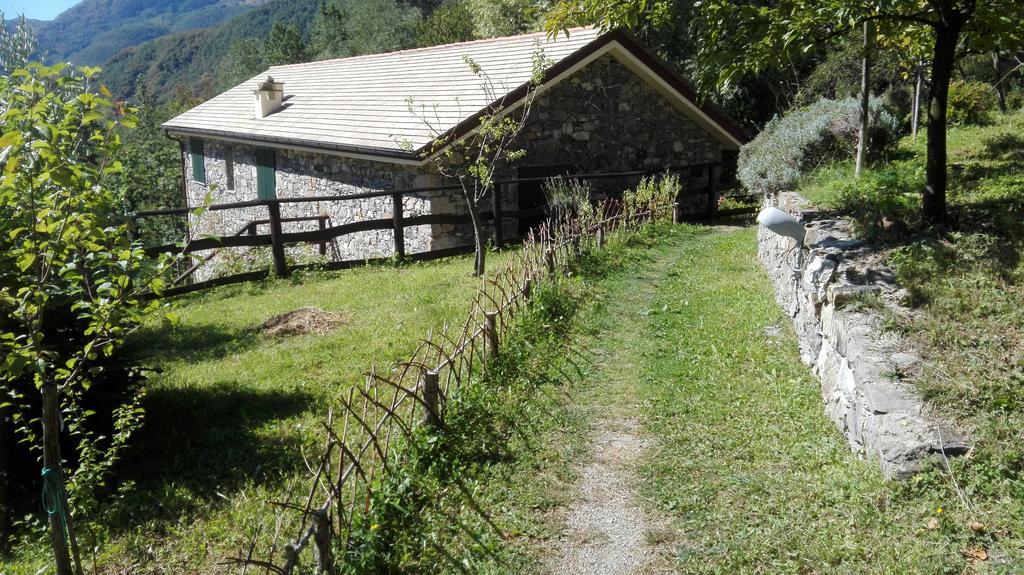Agriturismo Il Mulino Stibiveri Екстериор снимка