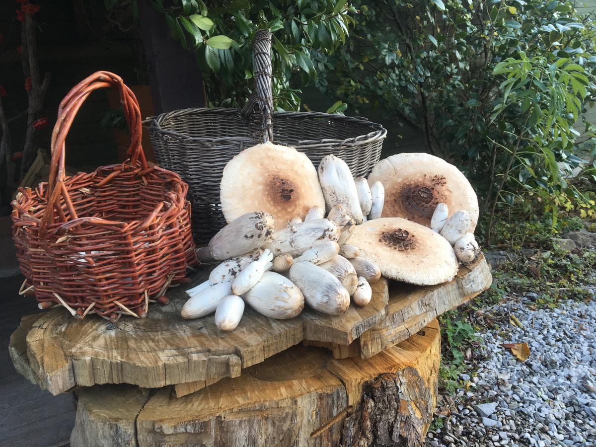 Agriturismo Il Mulino Stibiveri Стая снимка
